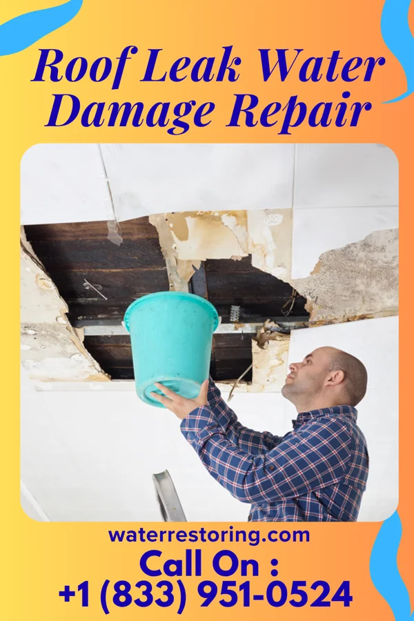 Roof Leak Water Damage Repair in Winston, OR